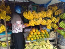 Harga Melejit, Pepaya di Pasar Tradisional Mamuju Tembus Rp 35 Ribu