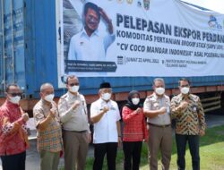Sulbar Ekspor 25 Ton Sapu Lidi ke India, Ekportir dari Kalangan Milenial