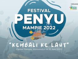 Cegah Eksploitasi, Sabahat Penyu Bakal Edukasi Warga Lewat Festival di Polman