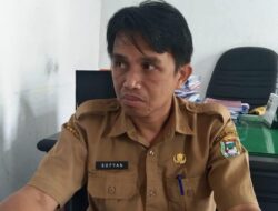 Antisipasi PMK pada Hewan Kurban, DTPHP Mamuju Lakukan Pemeriksaan
