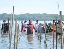 Cegah Meluasnya Abrasi Pantai, Pemprov Sulbar Canangkan Penanaman 1,2 Juta Mangrove