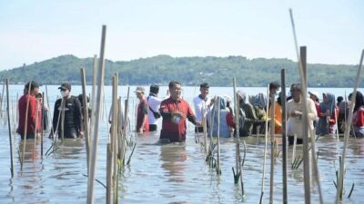 Cegah Meluasnya Abrasi Pantai, Pemprov Sulbar Canangkan Penanaman 1,2 Juta Mangrove