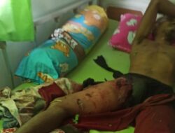 Seorang Warga Mateng Diterkam Buaya Saat Memetik Kangkung di Sungai