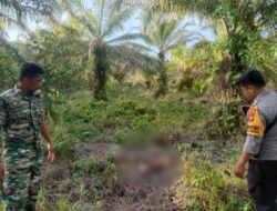 Kerangka Manusia yang Ditemukan di Sarudu Warga Setempat, Diduga Idap Stroke