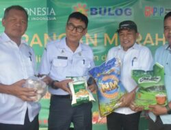 Stabilisasi Harga Menjelang Lebaran, Dinas Ketahanan Pangan Sulbar Gelar Gerakan Pangan Murah