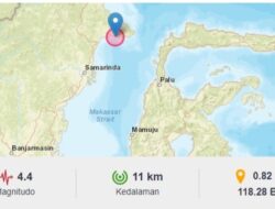 Gempa 4,4 Magnitudo Guncang Berau Kaltim, BMKG Catat 2 Gempa Susulan
