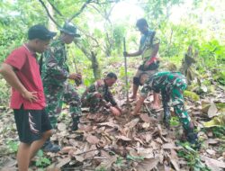 Jajaran Kodim 1427/Pasangkayu Lakukan Penanaman Pohon Durian di Rumah Warga, Ini Tujuannya