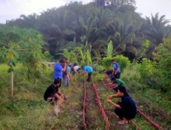 Wow, Rombongan Tim CSR PT Pasangkayu Adakan Baksos di Dusun Saluraya, Ini Tujuannya