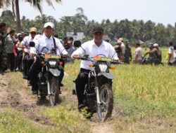 Klarifikasi Kuasa Hukum Kementan Terkait Gugatan Mentan Amran kepada Tempo