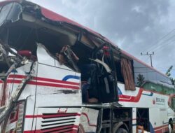 Bus Borlindo Tabrakan dengan Truk Ekspedisi Pengangkut Mobil di Baras Pasangkayu, 4 Penumpang Tewas