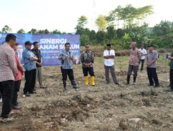 Sulbar Bentuk Sentra Pembibitan di Lahan Dua Hektar Atasi Masalah Hulu Pertanian