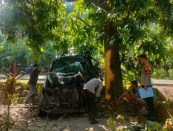 Fortuner Ringsek Usai Tabrak Pohon Mangga di Pamboang, Majene, Pengemudi Selamat