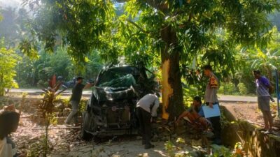 Fortuner Ringsek Usai Tabrak Pohon Mangga di Pamboang, Majene, Pengemudi Selamat
