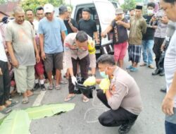 Seorang Pesepeda Meninggal dalam Insiden Tabrak Lari di Jalan Trans Sulawesi Polman-Majene