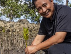 Sektor Pertanian dan Perikanan Barometer Pertumbuhan Ekonomi Sulbar, Pj Bahtiar Optimis Swasembada