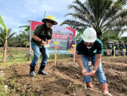 Begini Upaya proaktif PT Letawa Dalam Mentaati Regulasi Legalitas Lahan