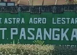 Ini Komitmen PT Pasangkayu Dalam Memberantas Peredaran Narkoba di Wilayah Perusahaannya