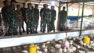 Kunker ke Korem 142/Tatag, Pangdam XIV/Hasanuddin Tinjau Ketahanan Pangan dan Berikan Bansos di Mamuju