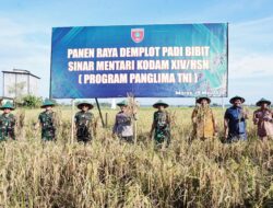 Pimpin Panen Raya Demplot Padi Bibit Sinar Mentari, Ini Harapan Pangdam XIV/Hasanuddin