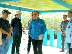 Gubernur SDK Sebut Kehadiran Kawasan Industri Pasangkayu Dorong Percepatan Pembangunan Ekonomi Sulawesi Barat