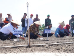 Canangkan Majene sebagai Kabupaten Bawang, Mentan: Bisa Suplai Kalimantan dan Sekitarnya