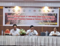Permintaan Biodiesel Meningkat, Harga TBS Kelapa Sawit di Sulbar Periode Oktober 2025 Rp 3.258 Per Kilogram