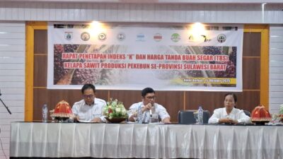 Permintaan Biodiesel Meningkat, Harga TBS Kelapa Sawit di Sulbar Periode Oktober 2025 Rp 3.258 Per Kilogram