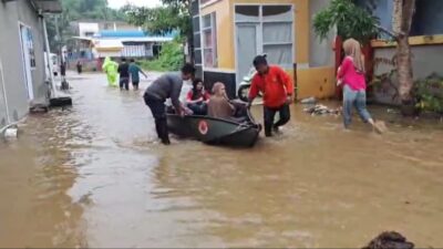 Hujan Deras, Sungai Kali Mamuju Kembali Meluap: Ratusan Rumah Terendam, Warga Dievakuasi