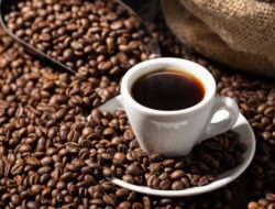 Harumkan Nama Daerah, Kopi Mamasa Masuk 20 Besar Kontes Kopi Spesialti Terbaik Indonesia 2025