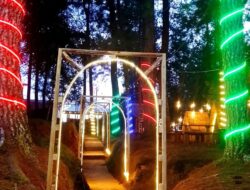 Wisata Kampung Natal 2025, Keajaiban Desember di Hutan Pinus Tondok Bakaru Kembali Hadir