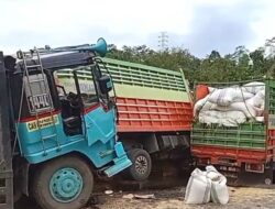 Tiga Truk Terlibat Kecelakaan Beruntun di Jalan Poros Mamuju–Majene