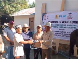 DPW TMI Sulbar Sembelih Hewan Qurban di Pasangkayu, Daging Dibagikan hingga Mamuju dan Mateng