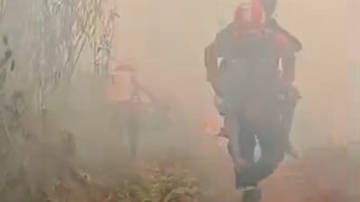 Seorang Nenek 80 Tahun Terjebak Kebakaran Lahan di Mamasa, Dievakuasi Sar Gabungan