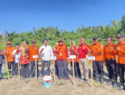 Perkuat Ketahanan Pangan, Wabup Herny Agus Ajak OPD Manfaatkan Lahan Kosong