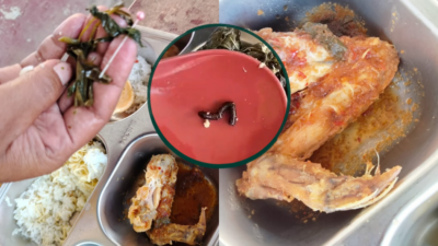 Temuan Kaki Seribu di Menu MBG, Korwil Pasangkayu Sebut SPPG Bersangkutan Diberhentikan