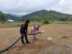 Kekeringan Melanda Sejumlah Sawah Warga di Mamasa, TRC BPBD Turun Salurkan Air