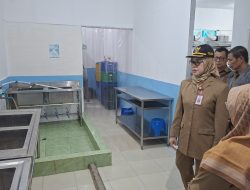 Kaki Seribu di Menu MBG, Wabup Herny Turun Tangan