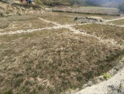 Kekeringan Landa Mamasa, 21 Hektare Sawah Terancam Gagal Panen dan Gagal Tanam