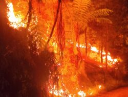 3 Hektare Lahan di Mamasa Kembali Terbakar, Polisi Selidiki Dugaan Karhutla Disengaja