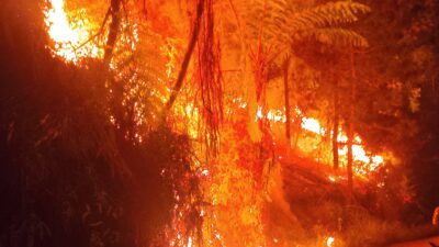 3 Hektare Lahan di Mamasa Kembali Terbakar, Polisi Selidiki Dugaan Karhutla Disengaja