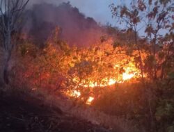 Polresta Mamuju Periksa Dua Orang dalam Kasus Dugaan Pembakaran Lahan