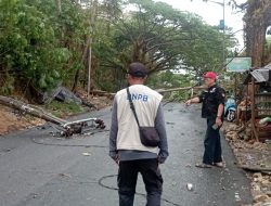 Mamuju Diguyur Hujan Disertai Angin Kencang Senin Dini Hari, Pohon dan Tiang Listrik Tumbang