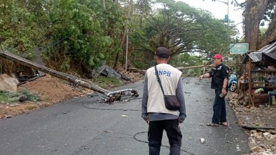 Mamuju Diguyur Hujan Disertai Angin Kencang Senin Dini Hari, Pohon dan Tiang Listrik Tumbang