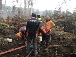 20 Hektare Lahan di Desa Buana Sakti, Mamuju, Terbakar, BPBD Sulbar-Tim Gabungan Lakukan Upaya Pemadaman